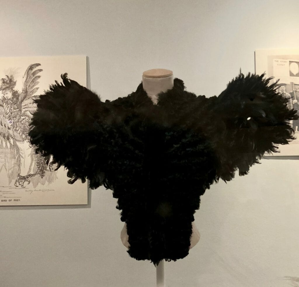 1895 feather cape by Augusta Champot whose shape is mimicked by the cartoon behind mocking the uncaring women that supported the feather trade by wearing plumes at the V&A Museum