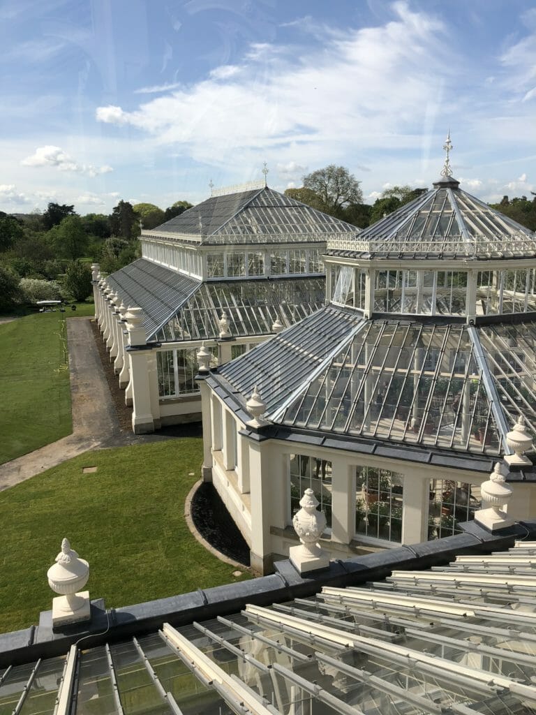 Looking down from the newly renovated walkway at the Temperate House in Kew Gardens at the linked pavilions