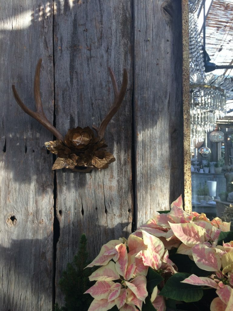 Simple wall antlers and a pastel toned ivy wreath at Petersham Nurseries