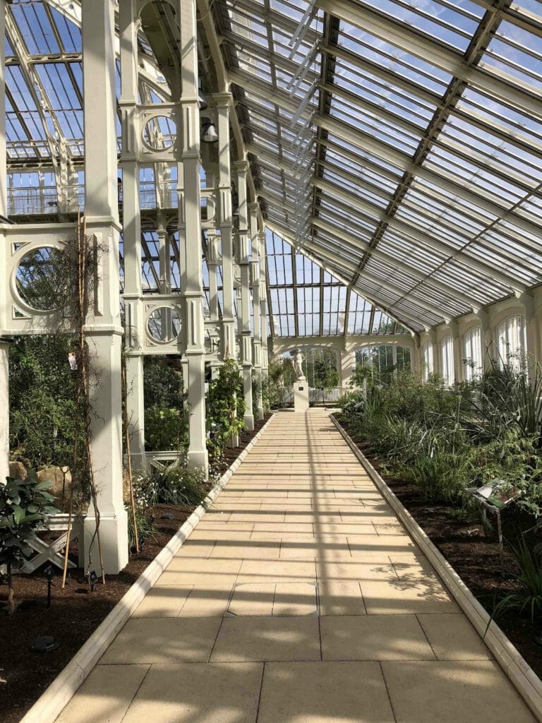 Interior walkway showing the soft oyster painted columns, new planting and renovated classic statues in the Temperate House