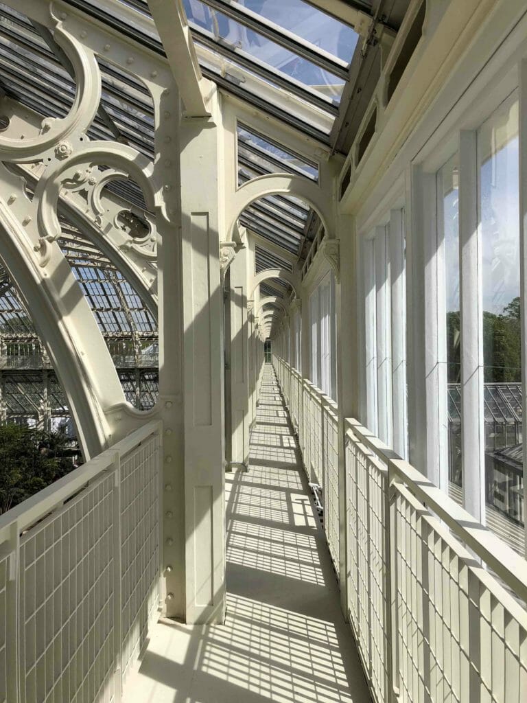 It is truly a treat to wander around the elevated walkways high up in the main glass pavilion, newly opened in the Kew Gardens Temperate house renovation