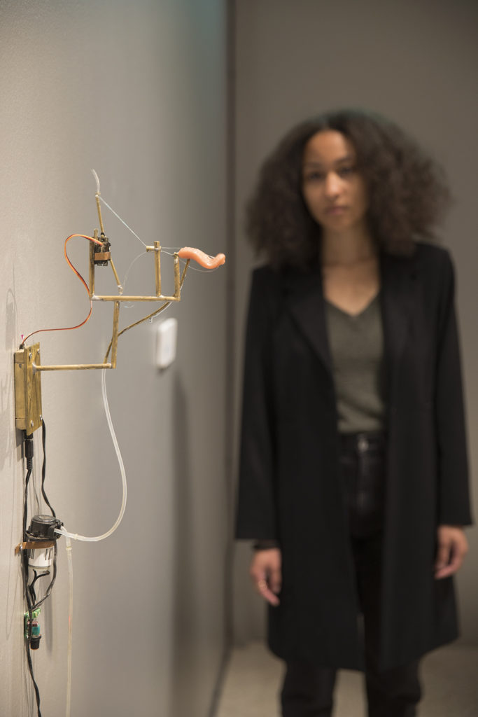 Tobias Bradford's Immeasureable thirst at The Design Museum The World of ASMR 